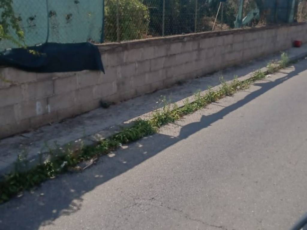 terreno agricolo in vendita a Riposto in zona Torre Archirafi