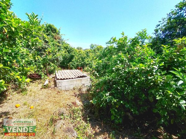 terreno agricolo in vendita a Riposto in zona Carruba
