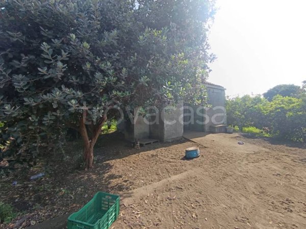 terreno agricolo in vendita a Riposto in zona Carruba