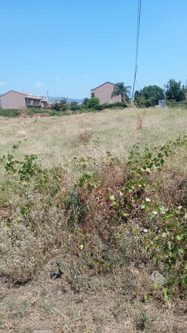 casa semindipendente in vendita a Riposto in zona Altarello