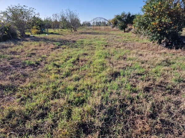 terreno agricolo in vendita a Riposto