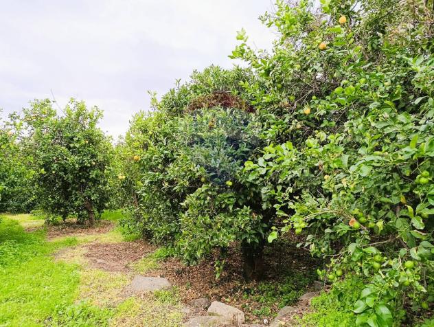 terreno agricolo in vendita a Riposto in zona Carruba
