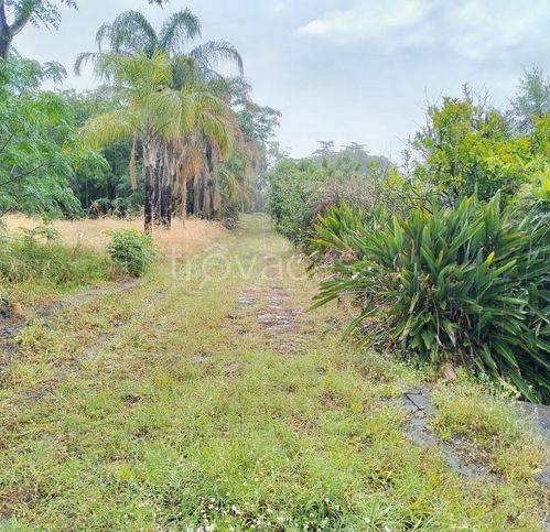 casa indipendente in vendita a Riposto