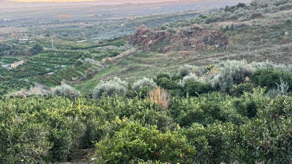terreno agricolo in vendita a Riposto in zona Archi