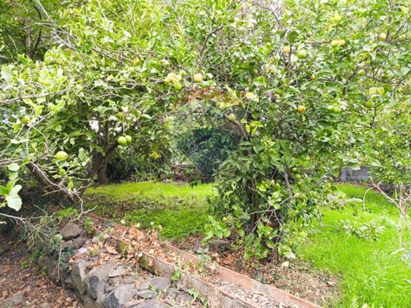 casa indipendente in vendita a Riposto in zona Carruba