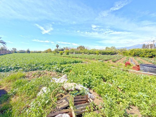 terreno agricolo in vendita a Riposto in zona Torre Archirafi