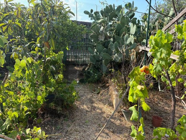 appartamento in vendita a Riposto in zona Archi