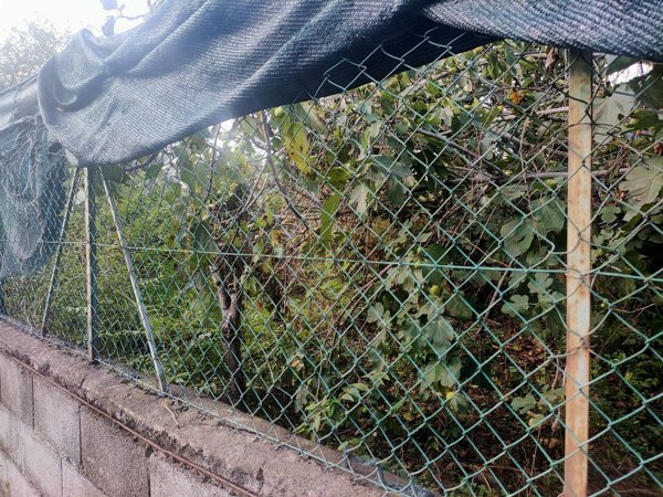 terreno in vendita a Riposto in zona Torre Archirafi