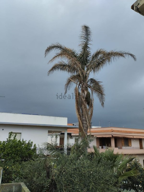 casa indipendente in vendita a Riposto in zona Torre Archirafi