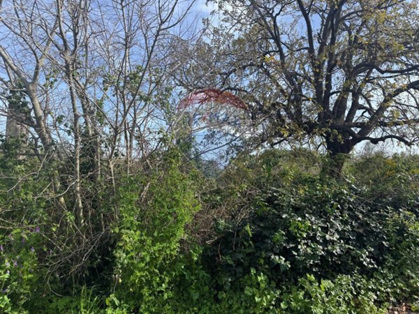 terreno agricolo in vendita a San Giovanni la Punta
