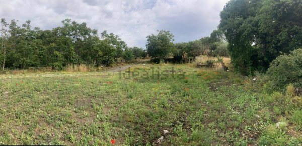 terreno agricolo in vendita a San Giovanni la Punta