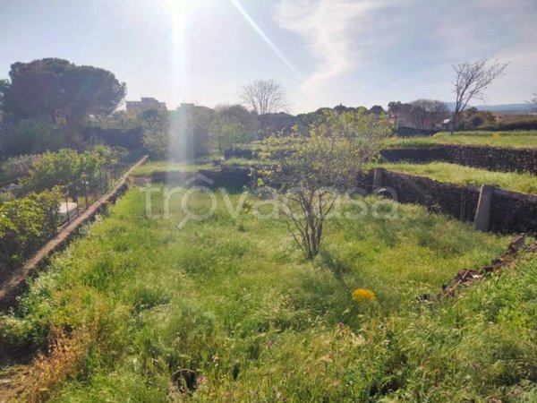 terreno agricolo in vendita a San Giovanni la Punta