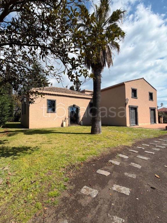 immagine annuncio 0 di 15