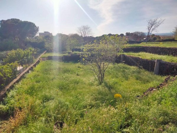 terreno agricolo in vendita a San Giovanni la Punta