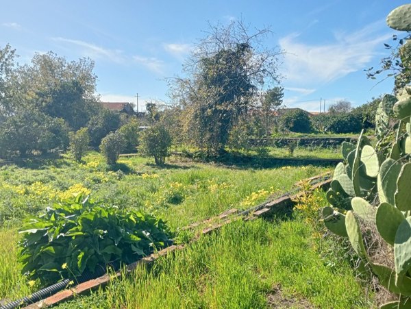 terreno edificabile in vendita a San Giovanni la Punta