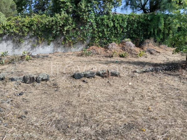 terreno agricolo in vendita a San Giovanni la Punta