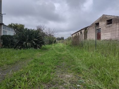 terreno agricolo in vendita a San Gregorio di Catania