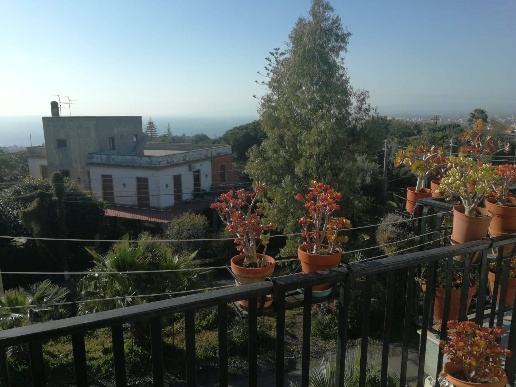 appartamento in vendita a San Gregorio di Catania
