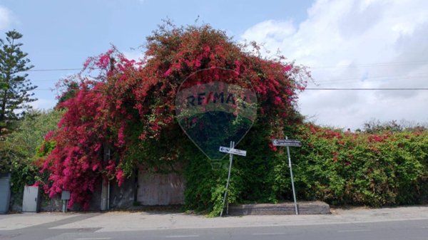 terreno agricolo in vendita a San Gregorio di Catania