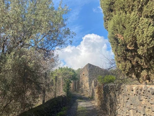 terreno agricolo in vendita a San Gregorio di Catania