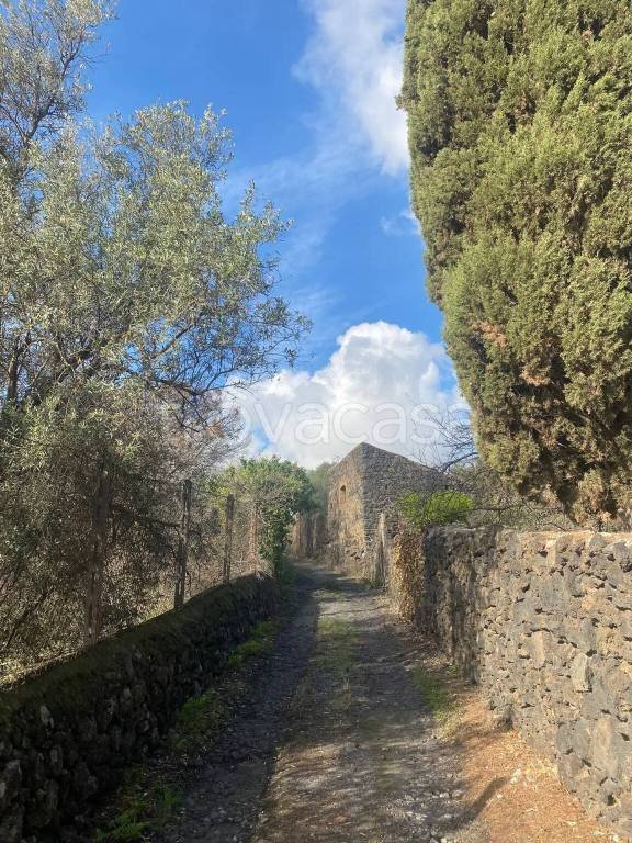 terreno agricolo in vendita a San Gregorio di Catania