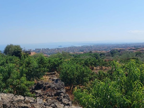 terreno agricolo in vendita a San Gregorio di Catania