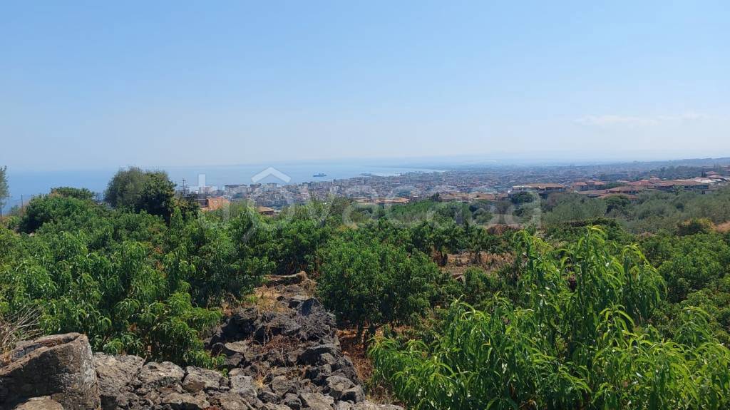 terreno agricolo in vendita a San Gregorio di Catania