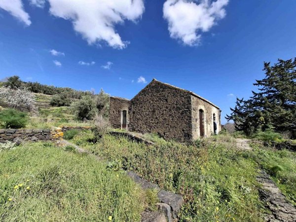 terreno agricolo in vendita a San Gregorio di Catania