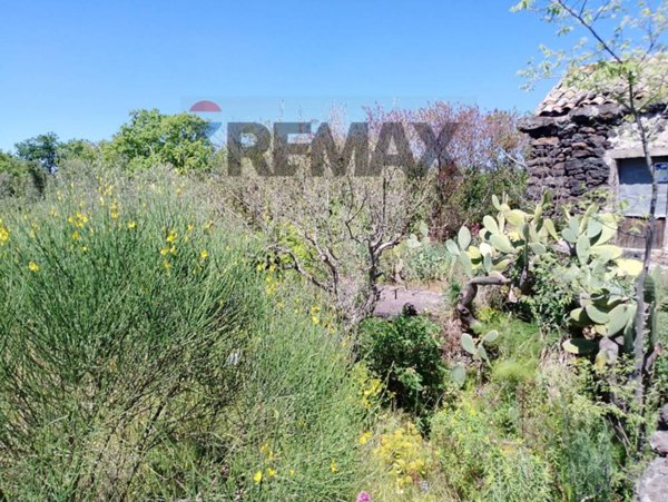 terreno agricolo in vendita a San Gregorio di Catania