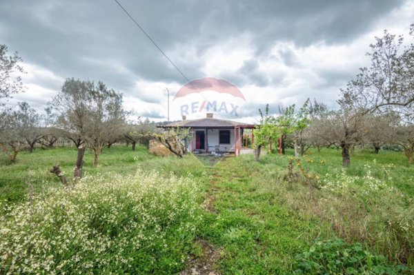 casa indipendente in vendita a San Michele di Ganzaria