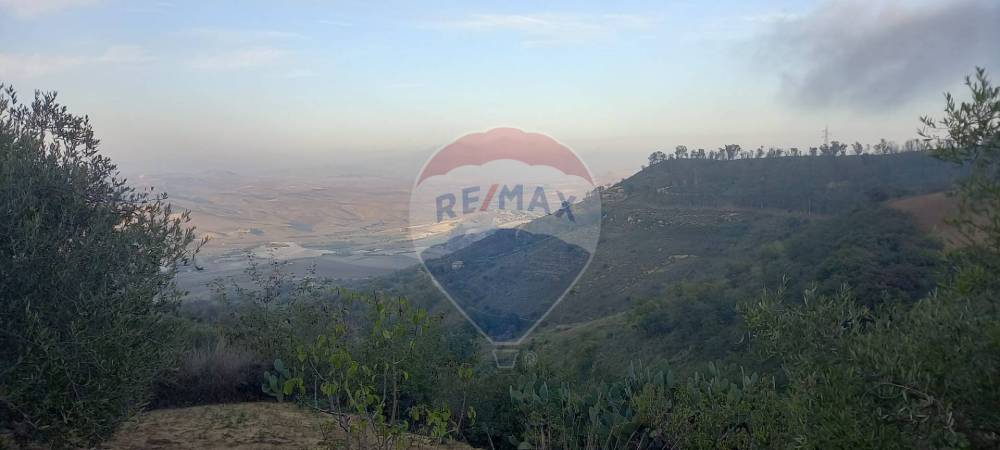terreno agricolo in vendita a San Michele di Ganzaria