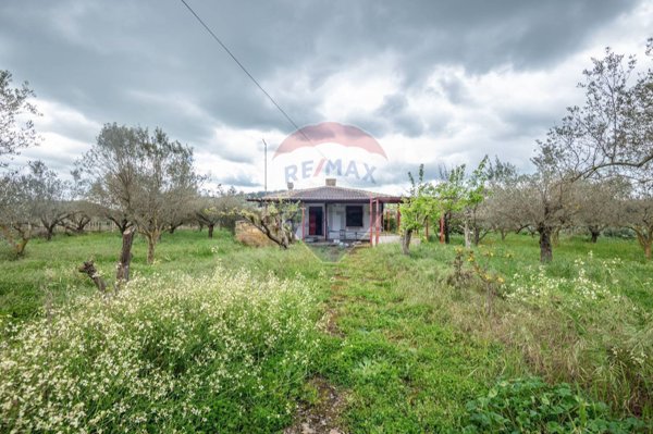 casa indipendente in vendita a San Michele di Ganzaria