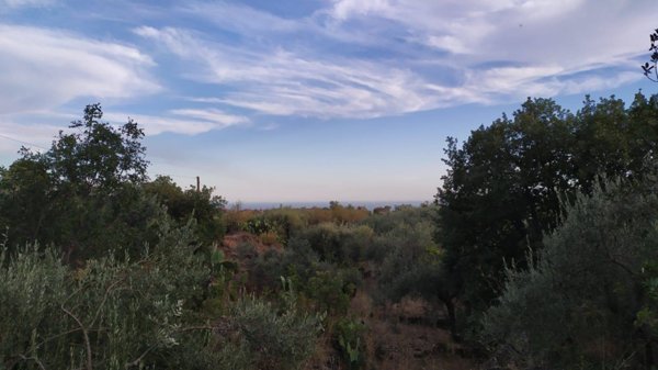 terreno agricolo in vendita a Desenzano del Garda in zona San Pietro