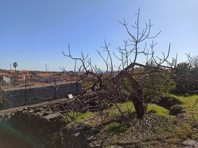 casa indipendente in vendita a San Pietro Clarenza