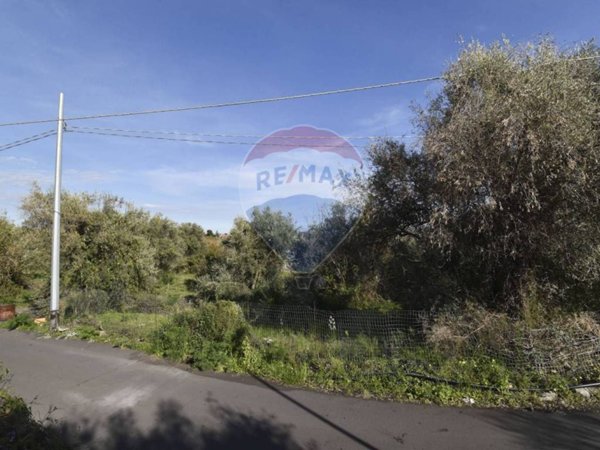 terreno agricolo in vendita a San Pietro Clarenza