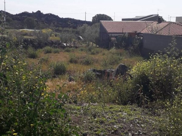 terreno agricolo in vendita a San Pietro Clarenza