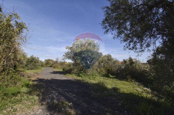 terreno agricolo in vendita a San Pietro Clarenza