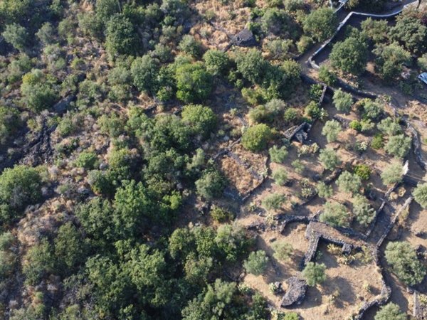 terreno agricolo in vendita a San Pietro Clarenza