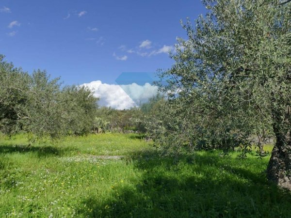 terreno agricolo in vendita a San Pietro Clarenza