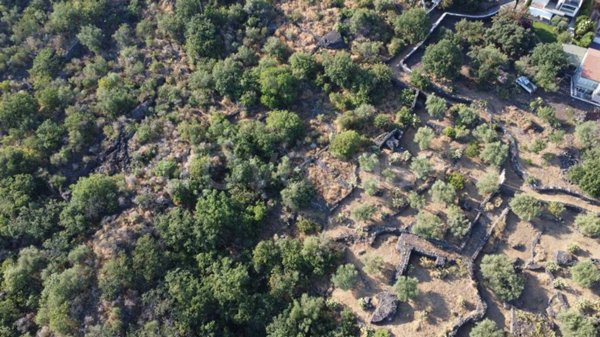 terreno agricolo in vendita a San Pietro Clarenza