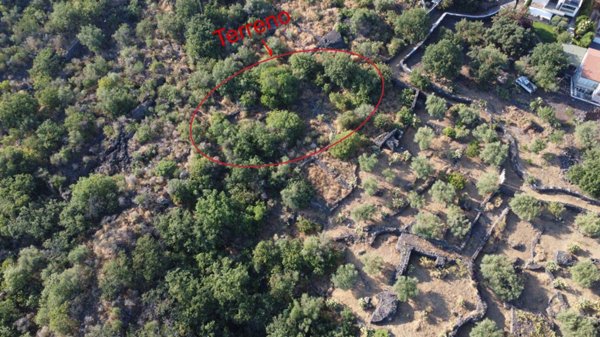 terreno agricolo in vendita a San Pietro Clarenza