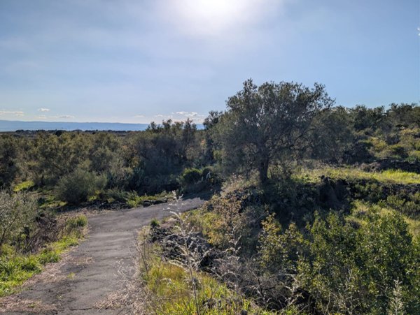 terreno agricolo in vendita a San Pietro Clarenza