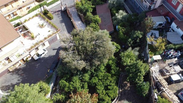 terreno edificabile in vendita a San Pietro Clarenza