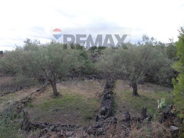 terreno agricolo in vendita a San Pietro Clarenza