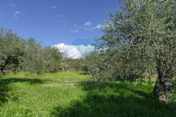 terreno in vendita a San Pietro Clarenza