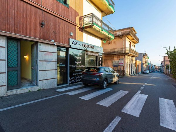 immagine annuncio 0 di 15