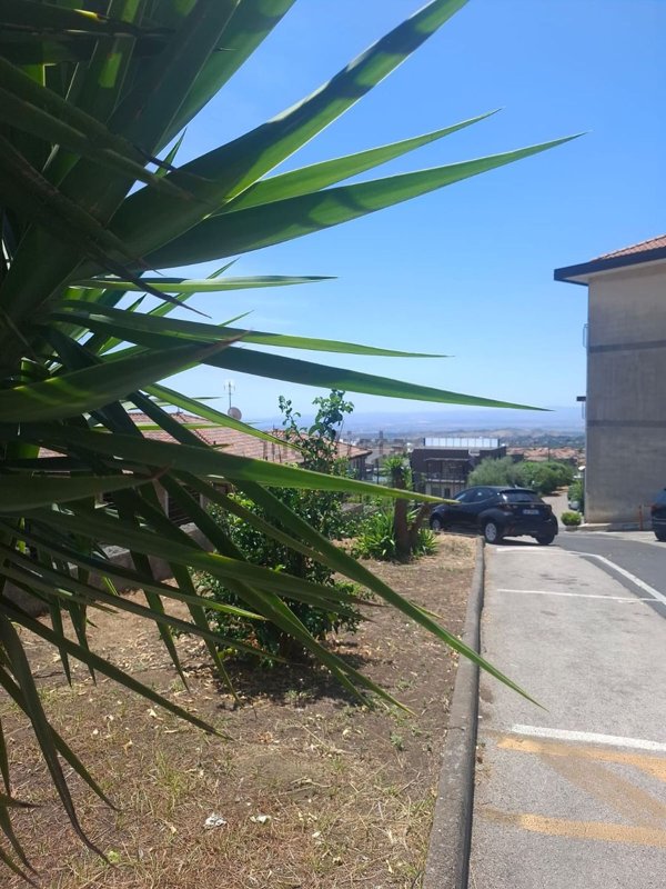 appartamento in vendita a San Pietro Clarenza