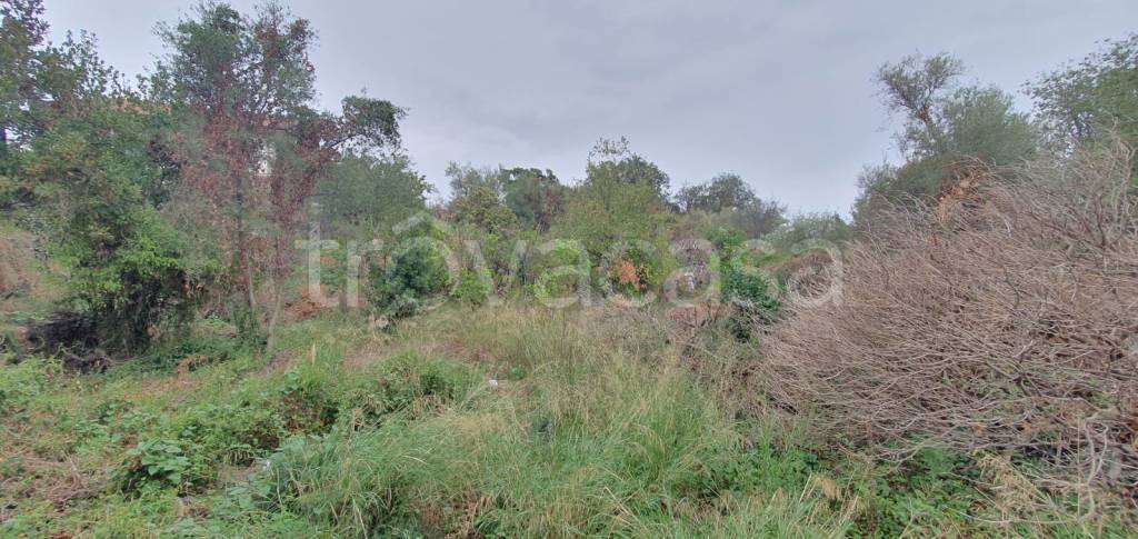 terreno in vendita a San Pietro Clarenza