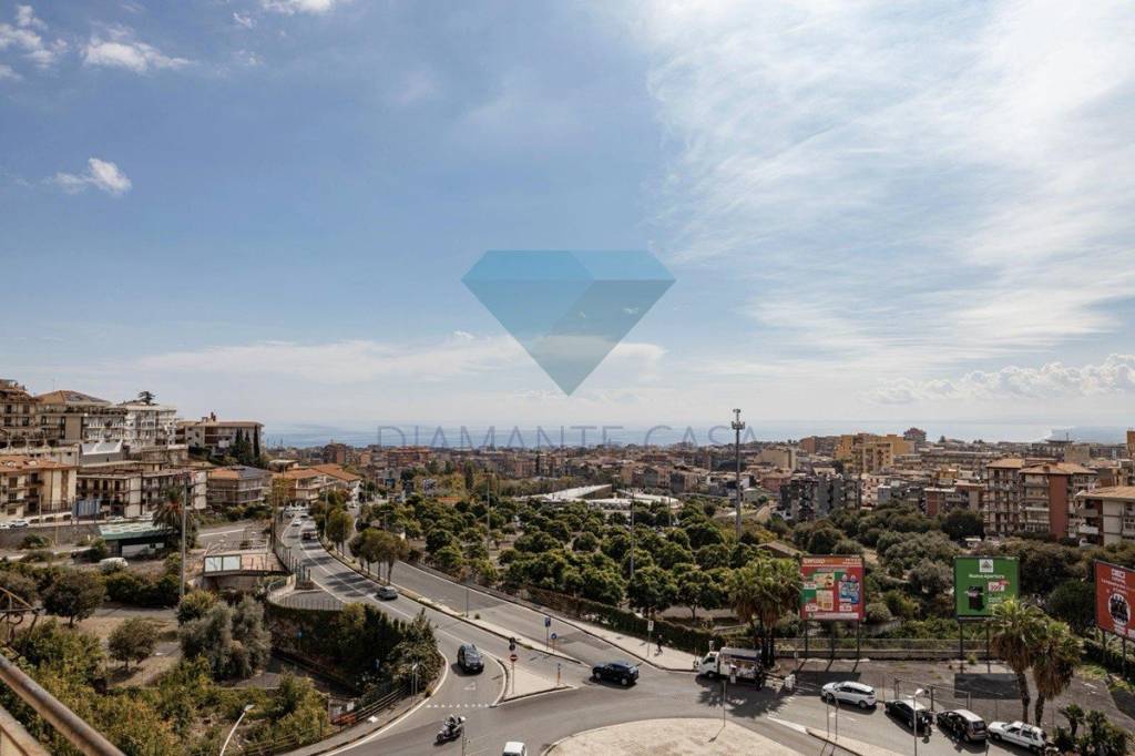 immagine annuncio 0 di 14