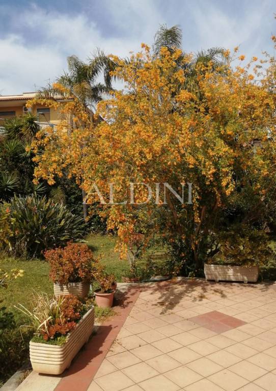 casa indipendente in vendita a Sant'Agata li Battiati